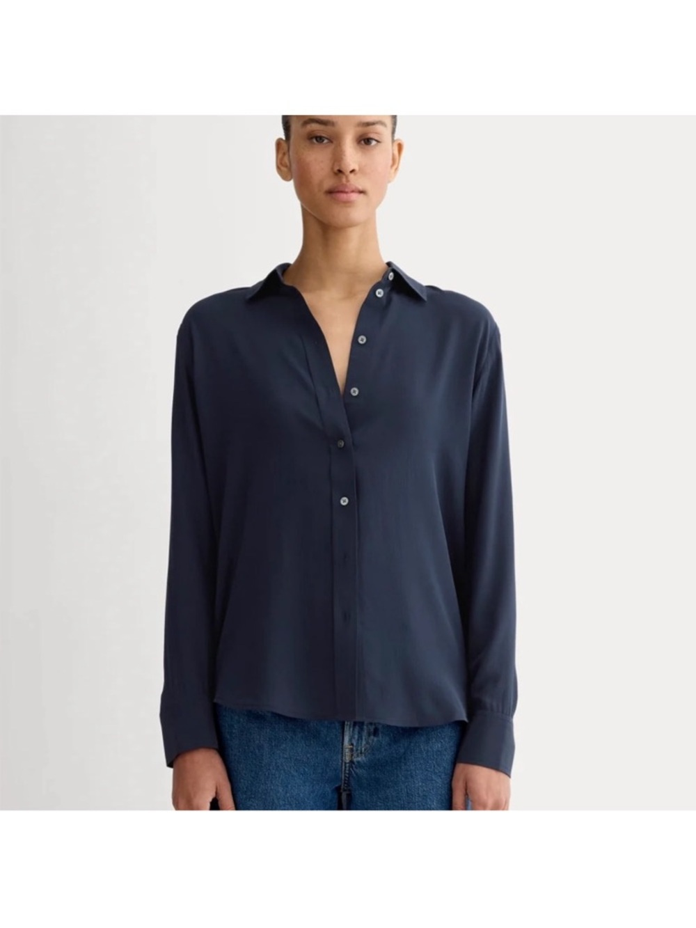 Everlane 100% Silk Blue Long-Sleeve Button-Down Shirt